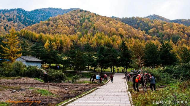 盘点兰州最好玩的旅游景点