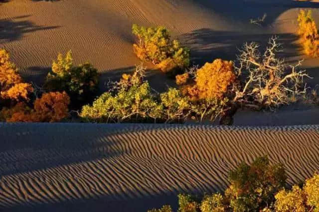 10月最佳旅行地推荐！这几个目的地在你的旅行清单上吗？