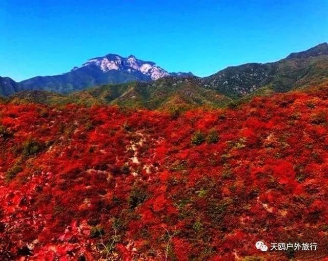 郑州人十月份去哪儿看红叶最好？长寿山和娲皇谷才是最好的选择