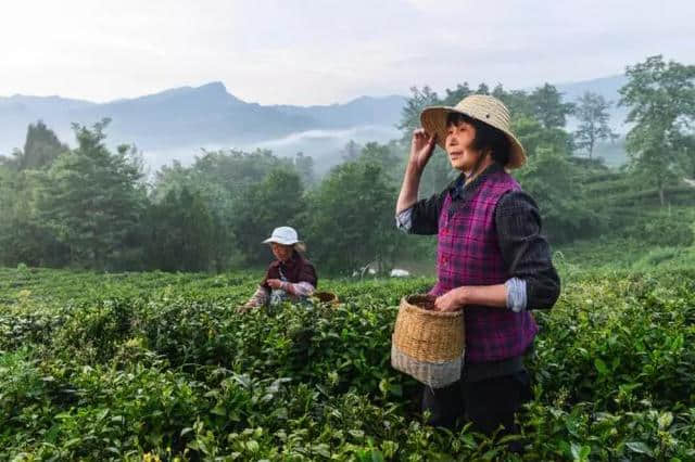 汶川十年｜宁强旅游的新生