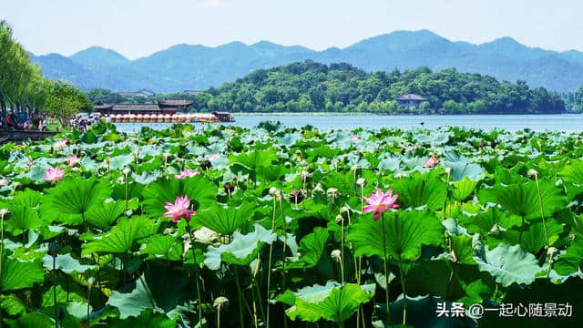 国内口碑最好的5个景区，拥有世界级景观，每个都值得去多次