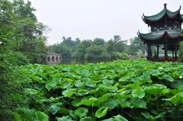 后天起！动物园、都江堰、青城山……等20余个景点免费啦！