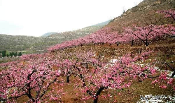 济南今年重点打造“大南山”旅游产业带！莱芜钢城纳入规划