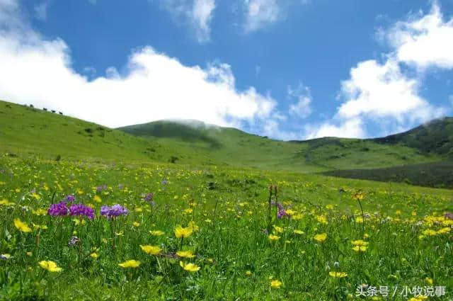 美到没朋友！5月四川的最佳旅行地，准备出发吧！