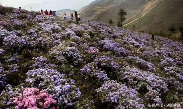 美到没朋友！5月四川的最佳旅行地，准备出发吧！