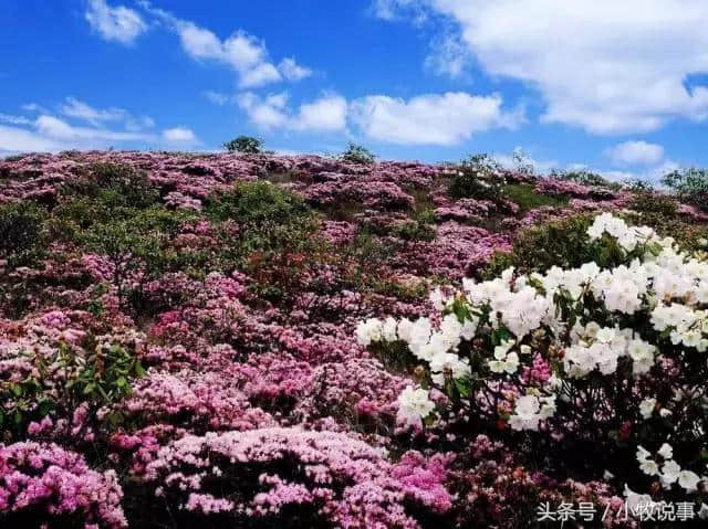 美到没朋友！5月四川的最佳旅行地，准备出发吧！