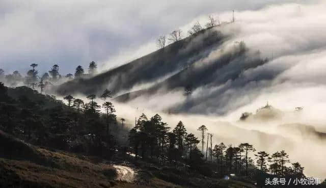 美到没朋友！5月四川的最佳旅行地，准备出发吧！