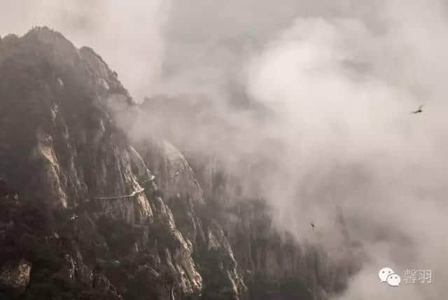 惊叹，这竟然是河南老君山！