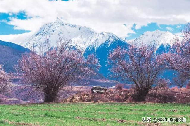 4月旅行地推荐！国内外最适合出行的20个旅行地，绝对不能错过...