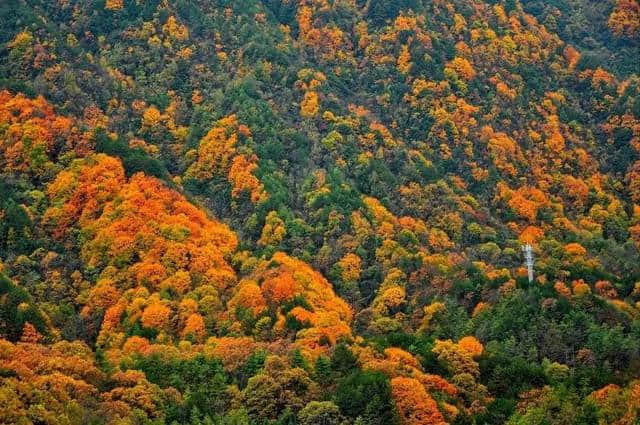 11月最佳旅行地！这些地方已经美成仙境，再不出发就会晚了