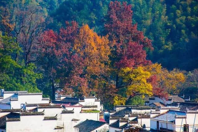 11月最佳旅行地！这些地方已经美成仙境，再不出发就会晚了