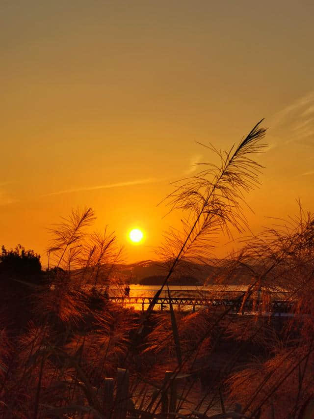 千岛湖：这里的夕阳让我忘记伤痛，却又想起了她