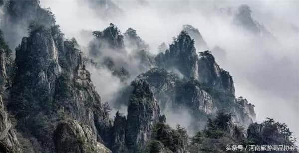 五一送惊喜！赏老君山美景，领老君山泉