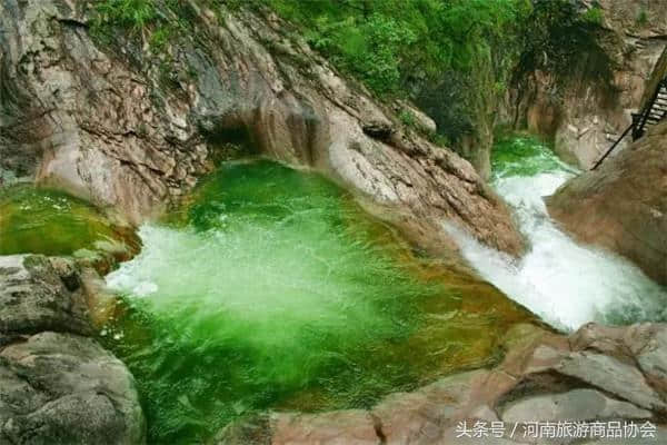 五一送惊喜！赏老君山美景，领老君山泉