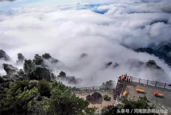 五一送惊喜！赏老君山美景，领老君山泉