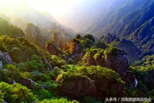 五一送惊喜！赏老君山美景，领老君山泉