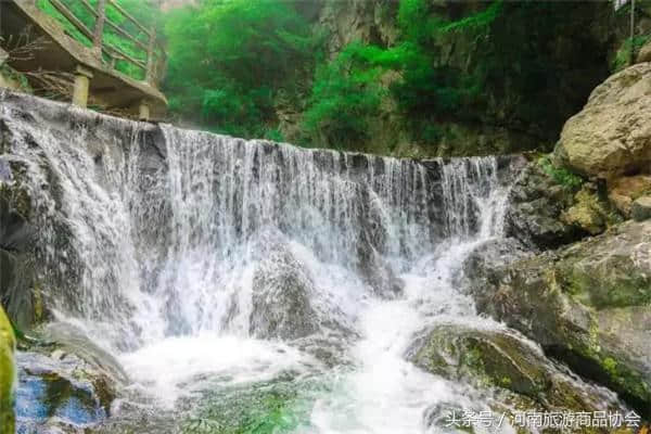 五一送惊喜！赏老君山美景，领老君山泉