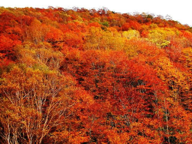 10月最佳自驾旅行地推荐，每一条都美得无可替代