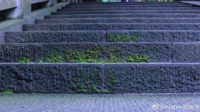 一水养一城，一山道一门—青城山都江堰