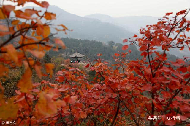 11月去旅行！这么多美景！你选择去哪里？