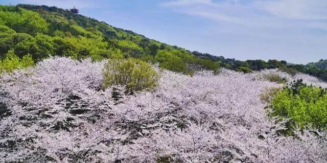 这10个4月绝美之地就够你选择了~