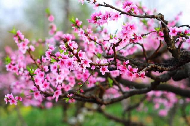 三月花样女人季 狼牙山最IN出游记