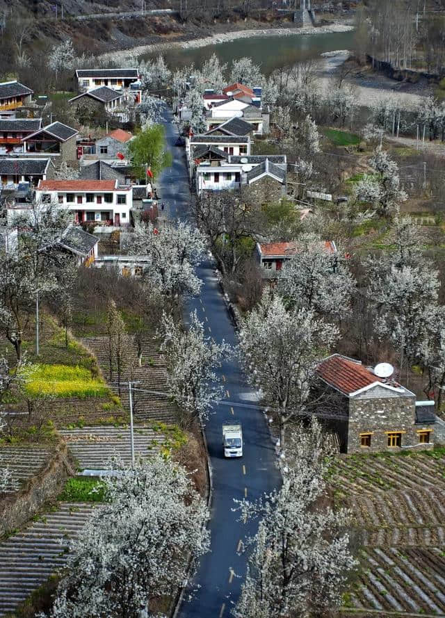 适合3月出行的旅行地推荐！有你想去的地方吗？