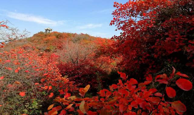 11月旅行攻略，这十个目的地景色撩人，一定不容错过！