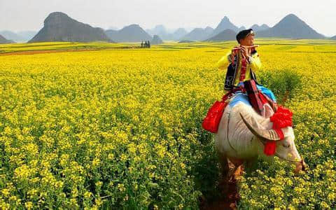 2月份，你不容错过的旅行地