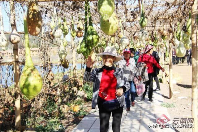 春节期间文山普者黑旅游火爆，接待20余万游客