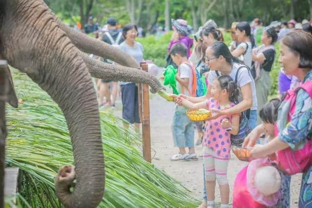 宝爸宝妈们暑期亲子旅行攻略来啦！记得收藏