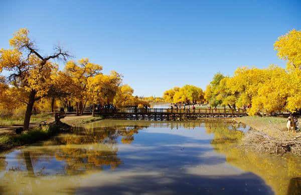 10月一定要去旅游的话，这里是首选