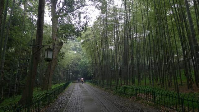 最适合4月的旅行地，景色美游人少！