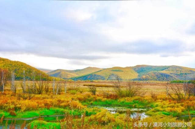 十一去哪里旅游？阿尔山-呼伦贝尔草原旅游详细攻略