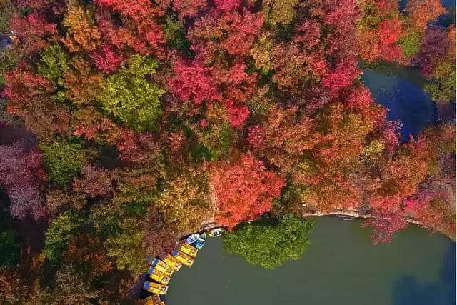 11月去哪里？这几个人少景美的旅行地，让你看尽人间秋色！