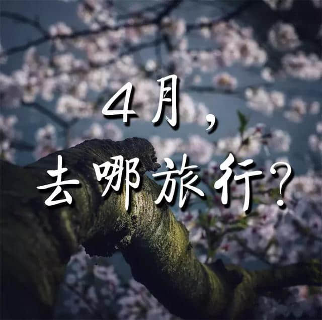 4月，最值得去的十个地方！