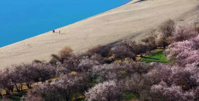 4月，最值得去的十个地方！