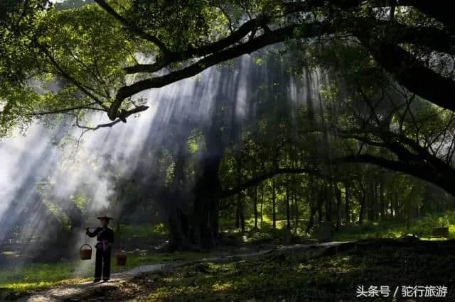 7月份最值得去的10个美景圣地（马上收藏）