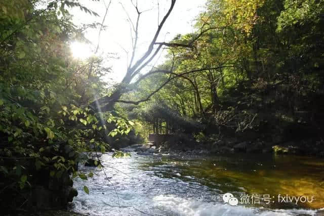 旅游节倒计时4天！——活动看点抢先看（一）