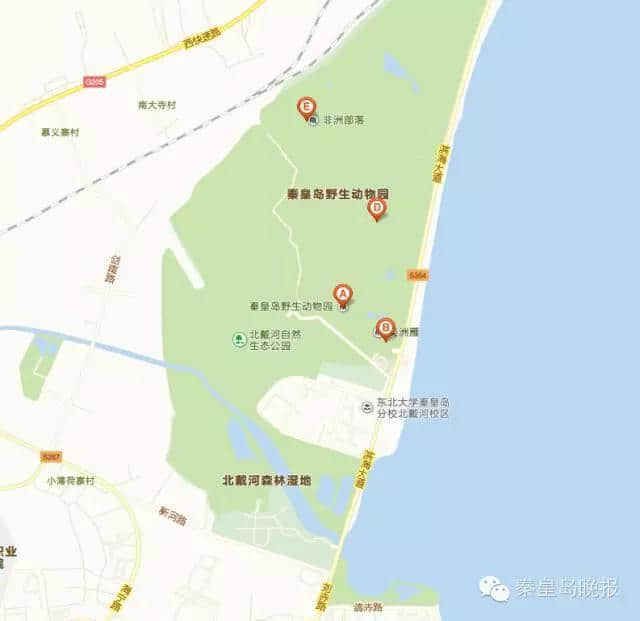 秦皇岛北戴河挂牌“全国示范”！好美的地方，你来吗？