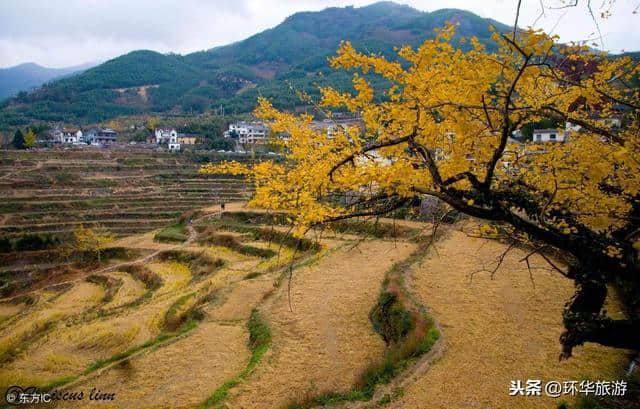 11月旅行最佳去处！这些景点将迎来中国最美的秋天，错过等一年！