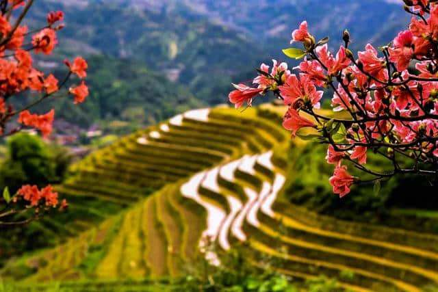 5月最佳旅行地推荐名单，人少景美，大好时光，切莫辜负