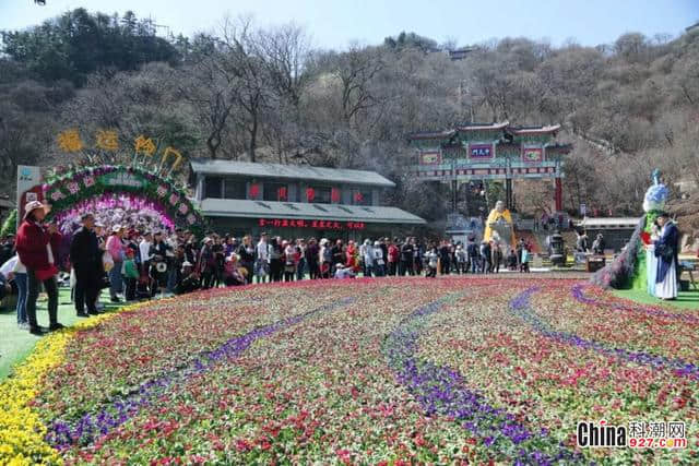 清明小长假，老君山景区迎来客流高峰！