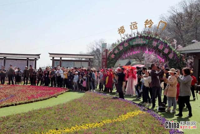 清明小长假，老君山景区迎来客流高峰！