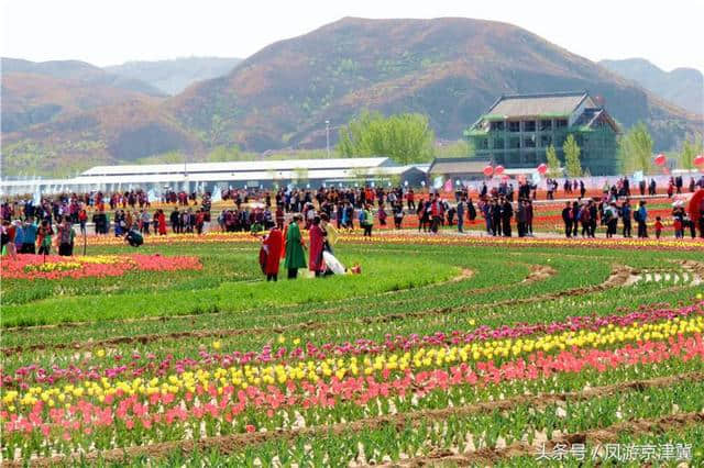 2018第九届狼牙山山花节暨万亩花海国际徒步大会盛大启幕