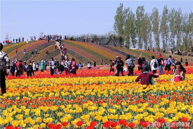 2018第九届狼牙山山花节暨万亩花海国际徒步大会盛大启幕