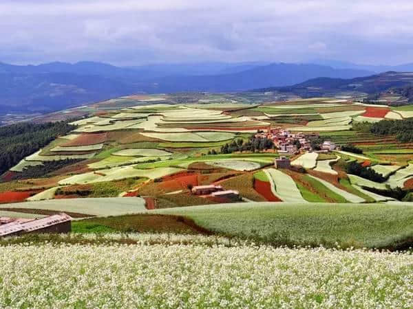 5月最美旅行地｜千万别辜负了这么美的初夏，选个好地方走起