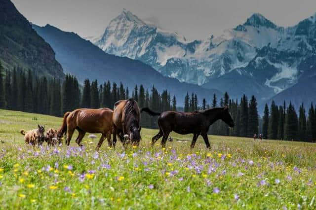 5月最美旅行地｜千万别辜负了这么美的初夏，选个好地方走起