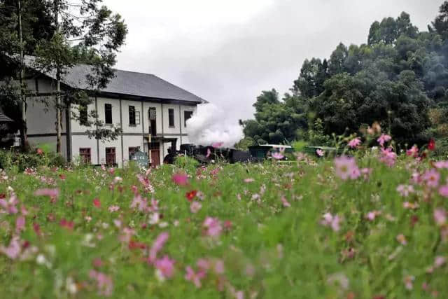 准备好了吗？网红小火车花季之旅鸣笛启航……