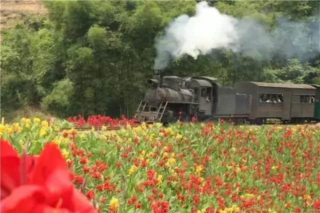 准备好了吗？网红小火车花季之旅鸣笛启航……